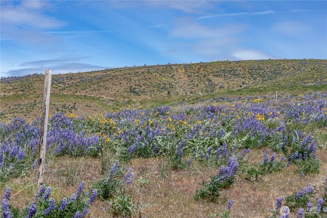 0LOT1 Burch Mountain Rd, Wenatchee, WA 98801