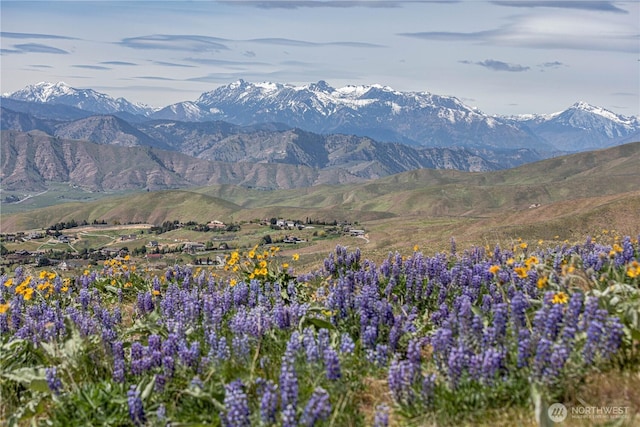 0LOT1 Burch Mountain Rd, Wenatchee, WA 98801