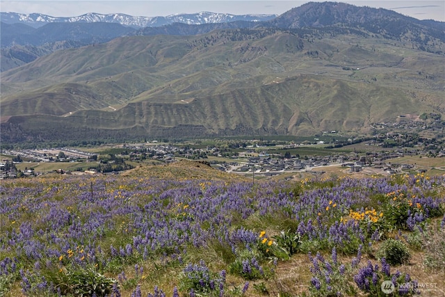 0LOT1 Burch Mountain Rd, Wenatchee, WA 98801