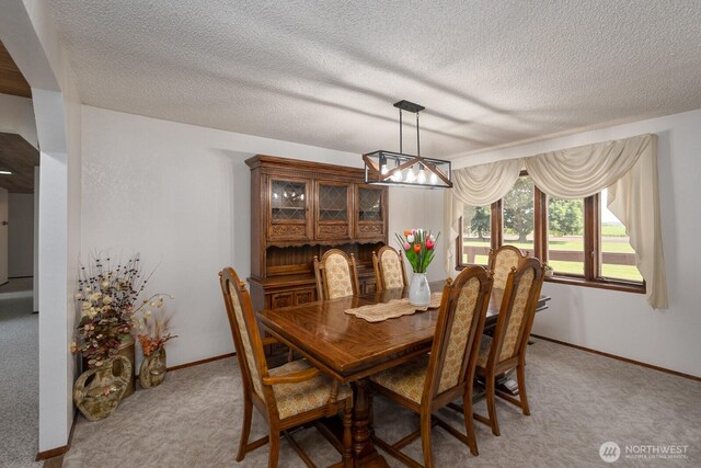 710 S Mckinney Rd, Othello, WA 99344 - dining room with light carpet, a chandelier, baseboards, and a textured ceiling