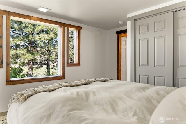 102A Vintin Rd, Carlton, WA 98814 - bedroom with a closet