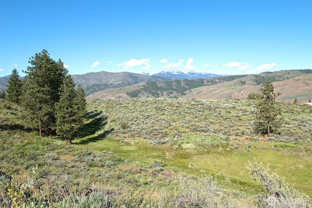 102A Vintin Rd, Carlton, WA 98814 - view of mountain background