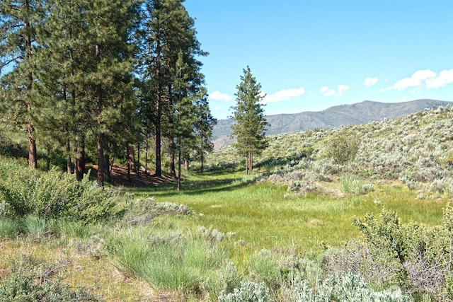 102A Vintin Rd, Carlton, WA 98814 - view of mountain backdrop