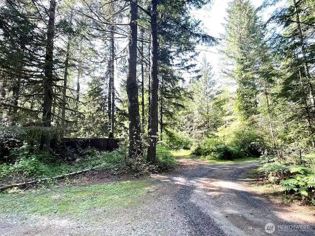 20 E Firwood Heights Ln, Belfair, WA 98528 - photo 29