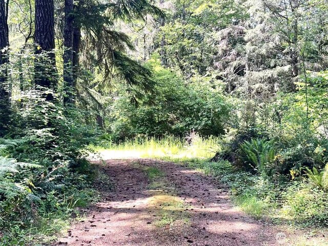 20 E Firwood Heights Ln, Belfair, WA 98528 - photo 30