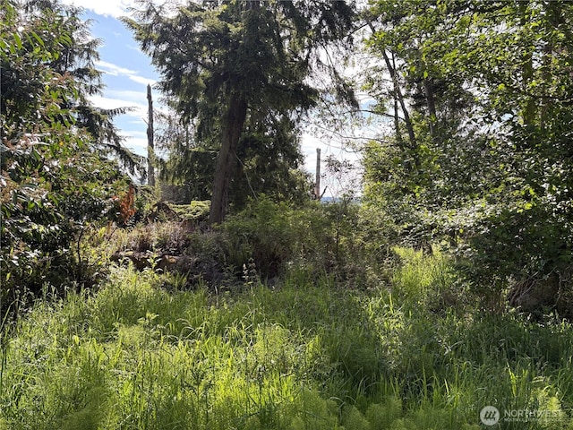 0 E Harbor Rd, Langley, WA 98260