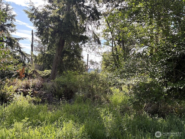 0 E Harbor Rd, Langley, WA 98260