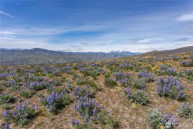 0LOT2 Burch Mountain Rd, Wenatchee, WA 98801