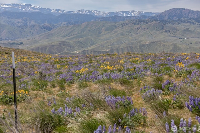 0LOT2 Burch Mountain Rd, Wenatchee, WA 98801
