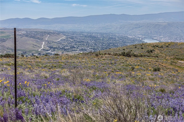 0LOT2 Burch Mountain Rd, Wenatchee, WA 98801