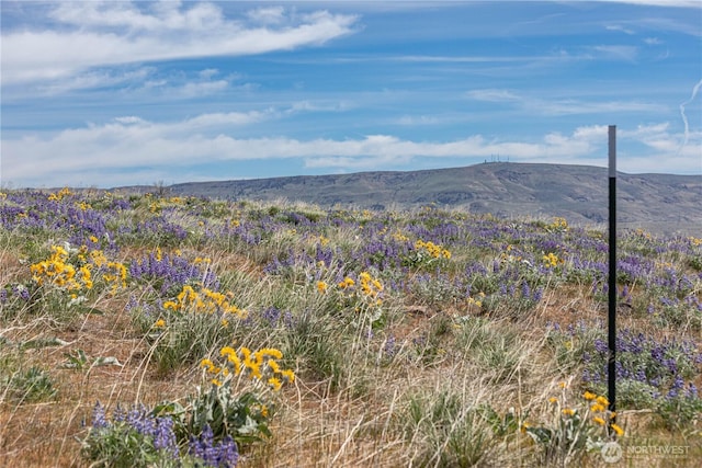 0LOT2 Burch Mountain Rd, Wenatchee, WA 98801