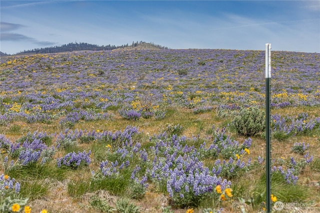 0LOT2 Burch Mountain Rd, Wenatchee, WA 98801