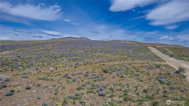 0LOT2 Burch Mountain Rd, Wenatchee, WA 98801