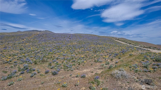 0LOT2 Burch Mountain Rd, Wenatchee, WA 98801