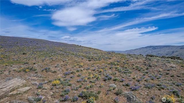 0LOT2 Burch Mountain Rd, Wenatchee, WA 98801