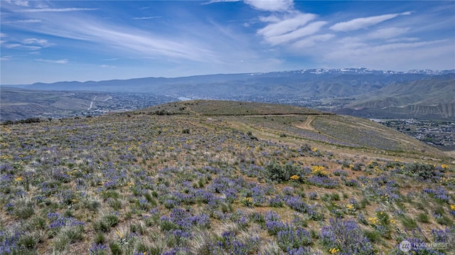 0LOT2 Burch Mountain Rd, Wenatchee, WA 98801