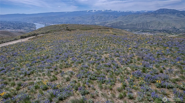 0LOT2 Burch Mountain Rd, Wenatchee, WA 98801