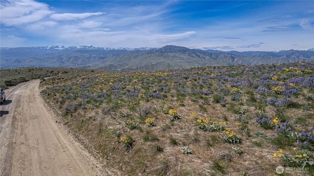 0LOT2 Burch Mountain Rd, Wenatchee, WA 98801
