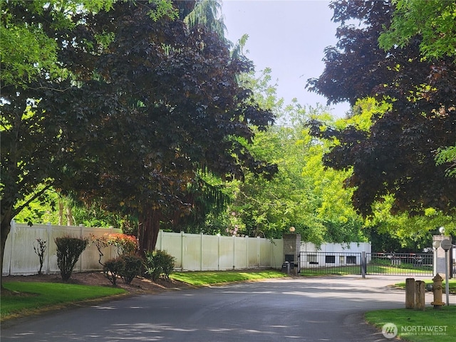 10923 63rd St E, Puyallup, WA 98372 - view of asphalt street featuring a gate