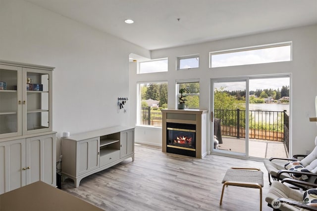 2311 Milton Way Unit E, Milton, WA 98354 - living area featuring light wood-style flooring, a glass covered fireplace, and recessed lighting