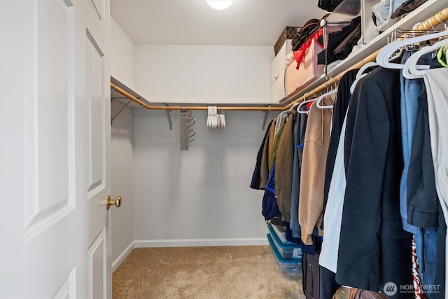 2311 Milton Way Unit E, Milton, WA 98354 - walk in closet with carpet floors