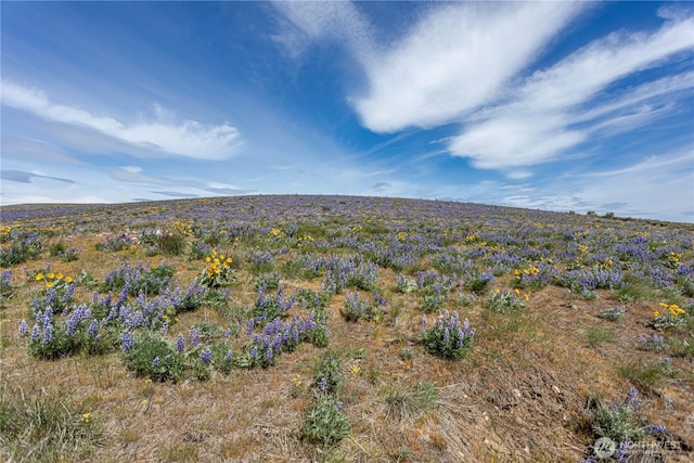 0LOT3 Burch Mountain Rd, Wenatchee, WA 98801