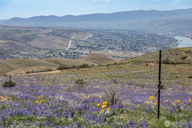 0LOT3 Burch Mountain Rd, Wenatchee, WA 98801