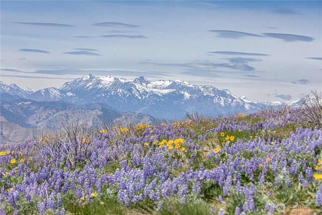 0LOT3 Burch Mountain Rd, Wenatchee, WA 98801