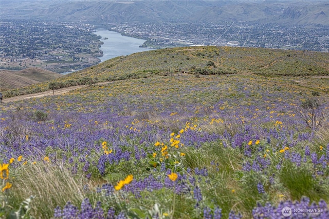 0LOT3 Burch Mountain Rd, Wenatchee, WA 98801