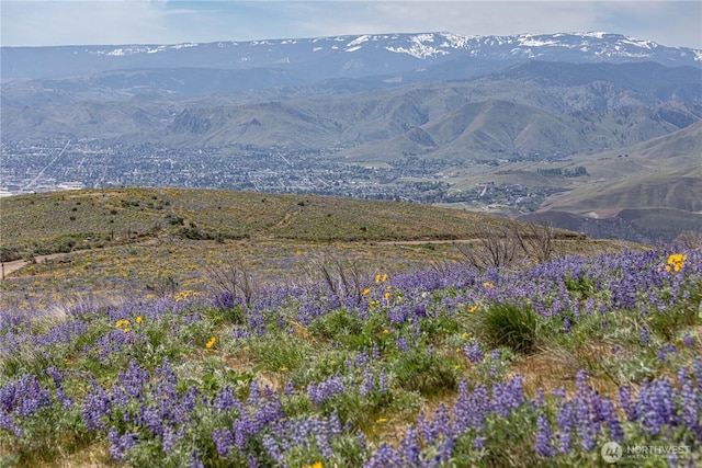 0LOT3 Burch Mountain Rd, Wenatchee, WA 98801