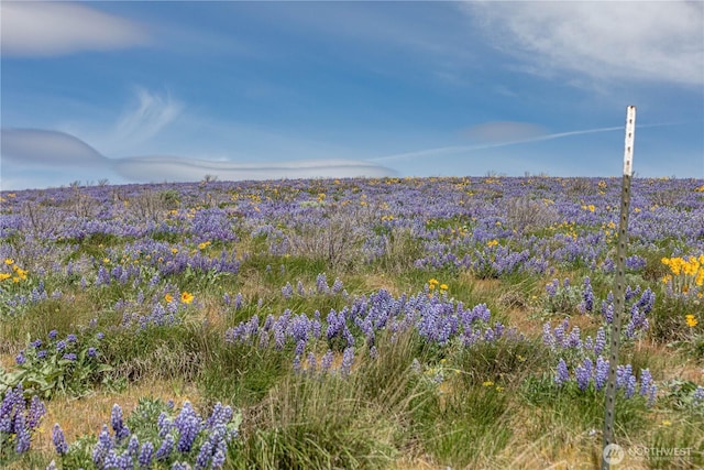 0LOT3 Burch Mountain Rd, Wenatchee, WA 98801