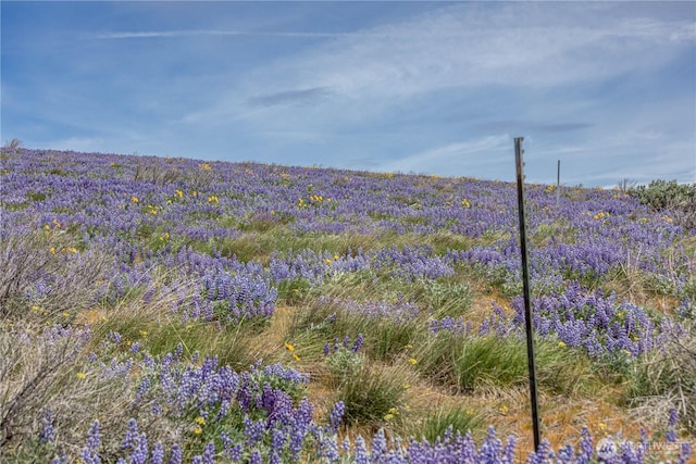 0LOT3 Burch Mountain Rd, Wenatchee, WA 98801
