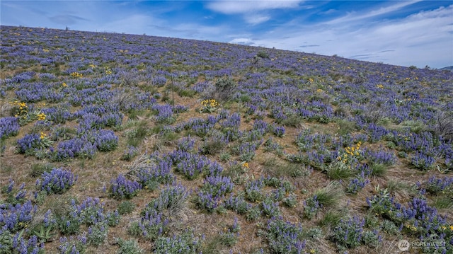 0LOT3 Burch Mountain Rd, Wenatchee, WA 98801
