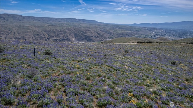 0LOT3 Burch Mountain Rd, Wenatchee, WA 98801