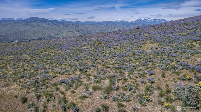 0LOT3 Burch Mountain Rd, Wenatchee, WA 98801