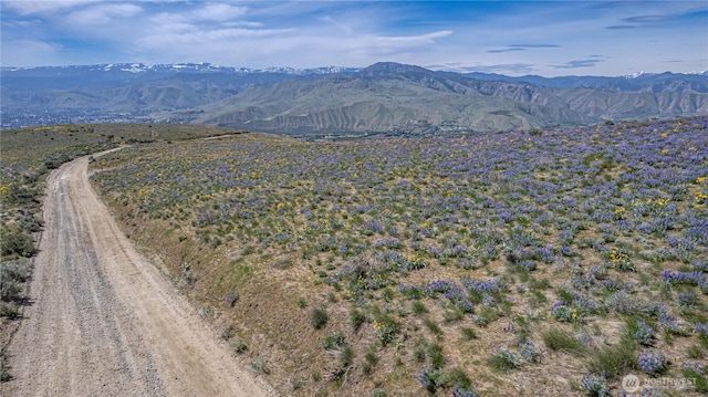 0LOT3 Burch Mountain Rd, Wenatchee, WA 98801