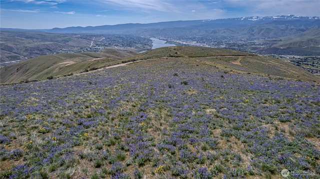 0LOT3 Burch Mountain Rd, Wenatchee, WA 98801