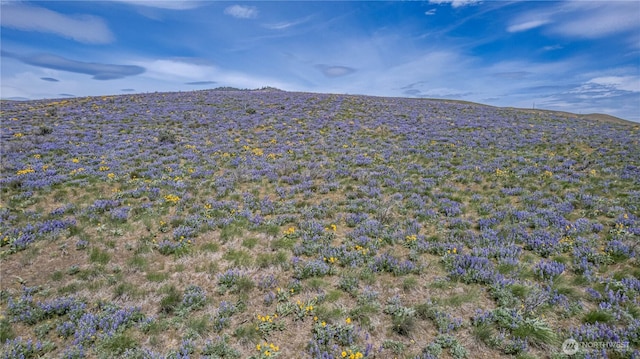 0LOT3 Burch Mountain Rd, Wenatchee, WA 98801