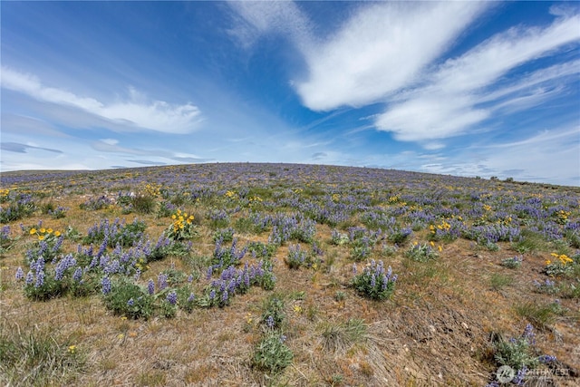 0LOT3 Burch Mountain Rd, Wenatchee, WA 98801