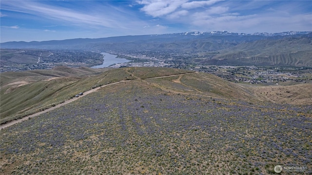 0LOT3 Burch Mountain Rd, Wenatchee, WA 98801