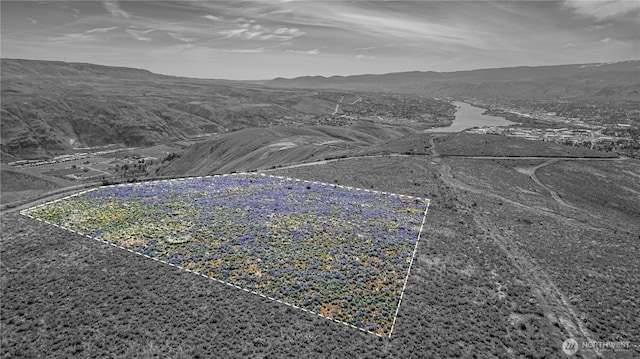 0LOT3 Burch Mountain Rd, Wenatchee, WA 98801