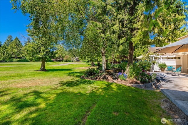 5552 Canvasback Rd, Blaine, WA 98230 - view of green lawn featuring a patio