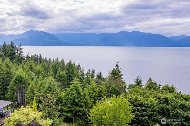 12289 Seabeck Hwy NW, Seabeck, WA 98380 - water view featuring a mountainous background