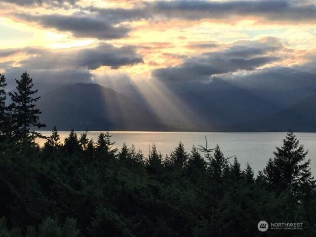 12289 Seabeck Hwy NW, Seabeck, WA 98380 - water view with a mountainous background