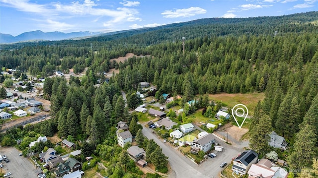 301 W 6th, Cle Elum, WA 98922