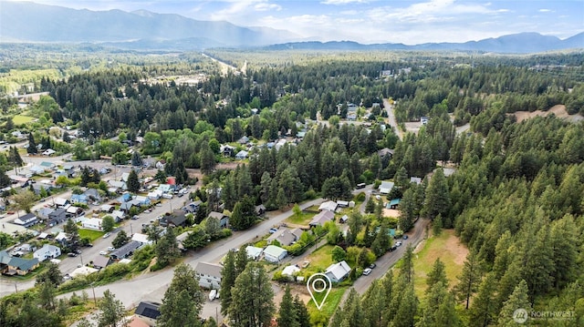 301 W 6th, Cle Elum, WA 98922