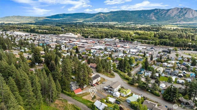 301 W 6th, Cle Elum, WA 98922