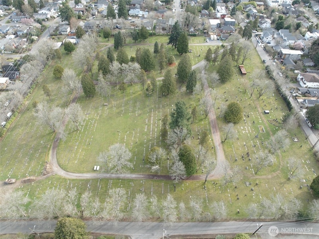 8712 12th Ave NW, Seattle, WA 98117 - photo 4