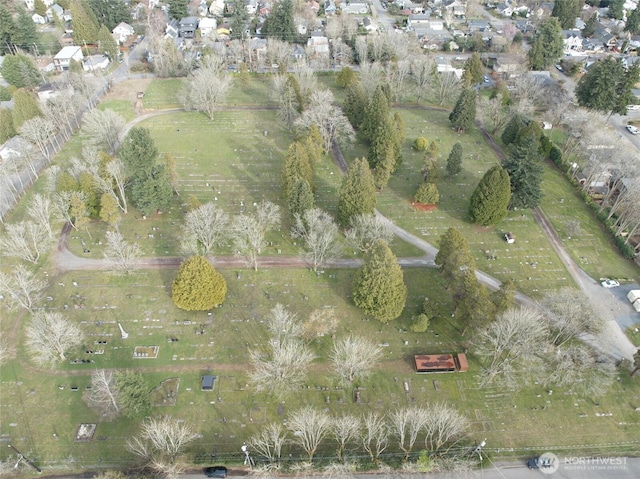 8712 12th Ave NW, Seattle, WA 98117 - photo 5