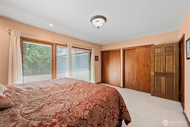 9138 Edgewater Dr SW, Lakewood, WA 98499 - bedroom with multiple closets and carpet